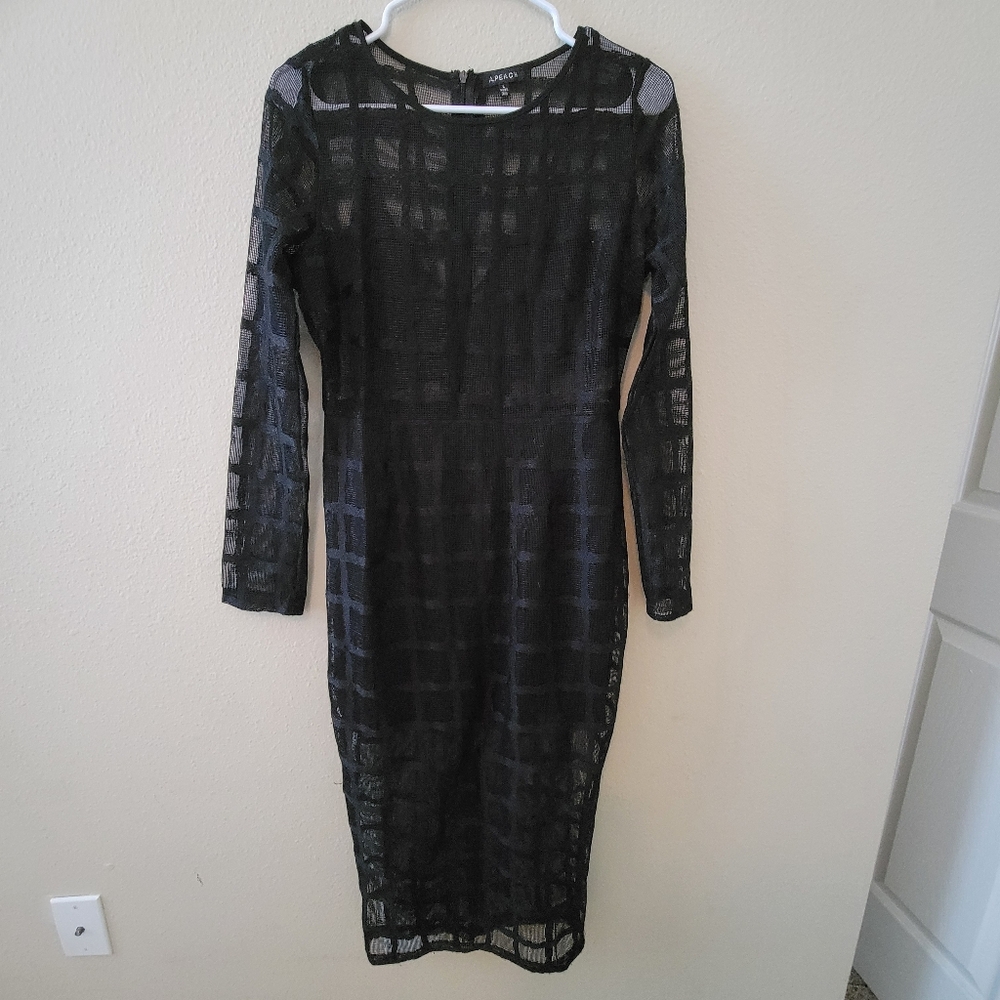 A Peach Elegant Black Sheer Dress